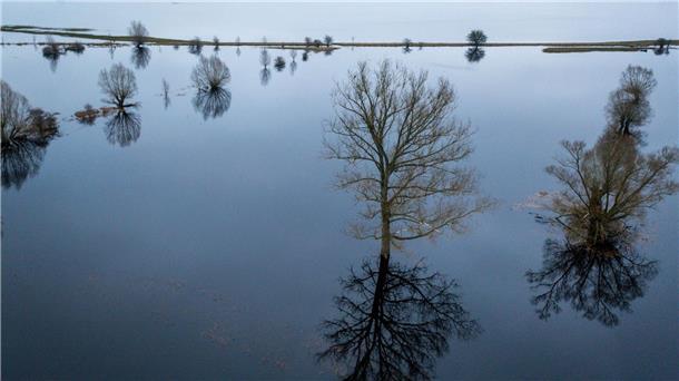 Landesamt: Regenreicher Winter bestätigt Trend Bäume stehen auf einer unter Wasser stehenden Wiese und spiegeln sich in der Wasseroberfläche.