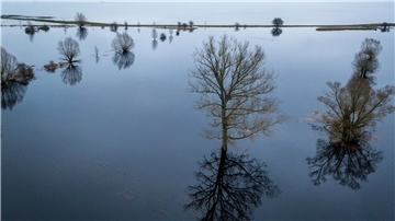 Bäume stehen auf einer unter Wasser stehenden Wiese und spiegeln sich in der Wasseroberfläche.