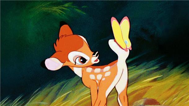 Bambi bestaunt einen Schmetterling.