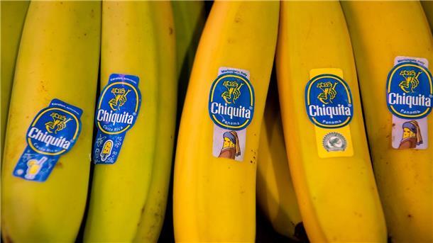 Marktbeobachter: Banane wird nicht zur Mangelware Bananen von Chiquita liegen in einem Supermarktregal in Bayern. (Archivbild)