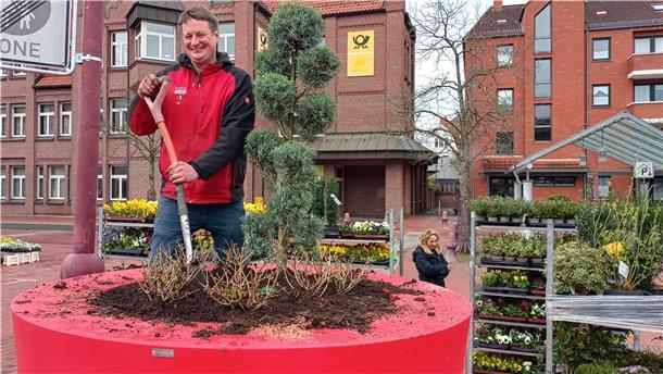 Bastian Peters pflanzt Hortensien und eine Konifere in einen der XXL-Blumentöpfe für die Nordenhamer Innenstadt.