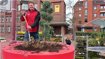 Bastian Peters pflanzt Hortensien und eine Konifere in einen der XXL-Blumentöpfe für die Nordenhamer Innenstadt.