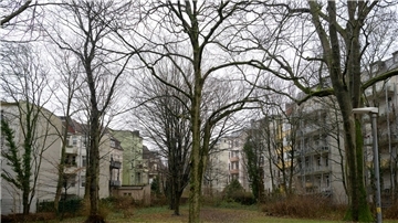 Baumbestand an der Bogenstraße: Die Anwohner möchten den Park erhalten. 