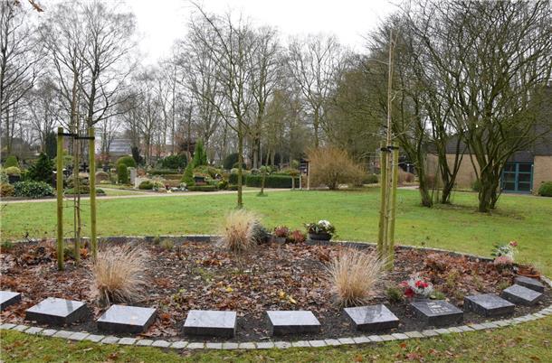 Baumbestattungen wie hier „Unter den Ginkgos“ auf dem Friedhof in Selsingen