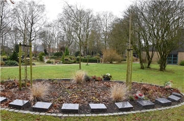 Baumbestattungen wie hier „Unter den Ginkgos“ auf dem Friedhof in Selsingen