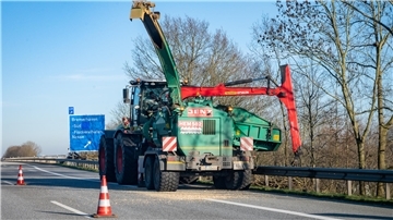 Baumfällarbeiten an der Autobahnabfahrt Bremerhaven-Süd: Die Böschung ist wieder frei geschnitten.