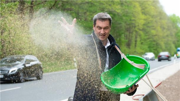 Bayerns Ministerpräsident Markus Söder bringt Saatgut für einen „Bienen-Highway“ in Schwaig bei Nürnberg aus.