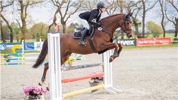 Bei den Jumping Days der Elmlohe Open wird auf einem Sandplatz abgeritten und auch das Springen absolviert.