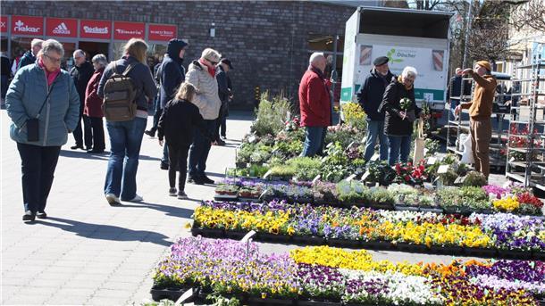 Bei der Gewerbeschau in Beverstedt ist das Angebot an Frühlingsblühern groß.