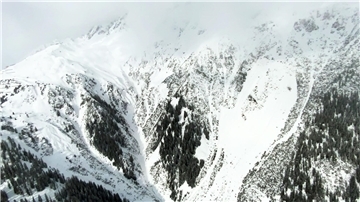 Bei einem Lawinenabgang in Österreich ist ein Wanderer ums Leben gekommen (Symbolbild).