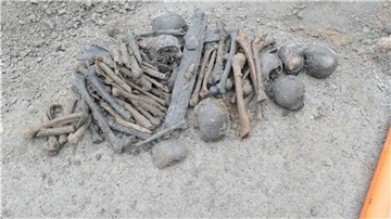 Bei Erdarbeiten nach dem Abriss eines Hauses sind in Lippetal mehrere Schädel und eine Vielzahl von Knochen gefunden worden.