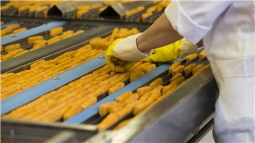Bei Frozen Fish International ist die Produktion der Fischstäbchen ins Stocken geraten. Container hängen in Asien fest, der Handel mit russischen Lieferanten läuft aus.