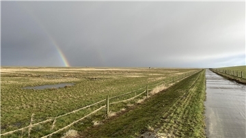 Langwarder Groden