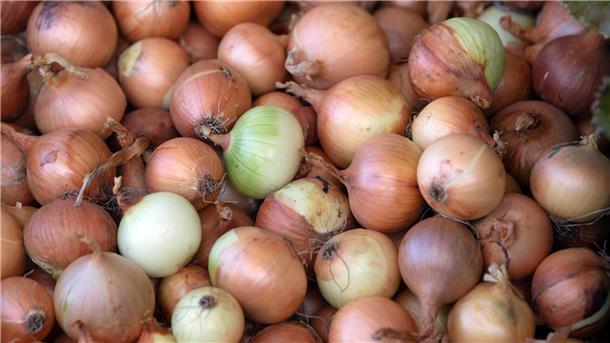 Bei Steddorf haben drei Männer rund 120 Kilogramm Zwiebeln geklaut.