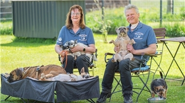 Eine Frau und ein Mann sitzen mit sechs unterschiedlichen Hunden im Garten.