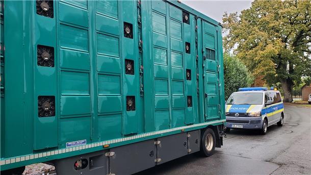Bei Tiertransport-Kontrollen auf der A27 im Kreis Cuxhaven sind Verstöße gegen Tierschutz und Hygiene festgestellt und Bußgelder verhängt worden.