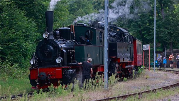 Fest zum 125. Geburtstag von Harzquer- und Brockenbahn Beim 125. Doppelgeburtstag der Harzquerbahn und der Brockenbahn ist die 125 Jahre alten Dampflok „Hoya“ so etwas wie der Stargast.
