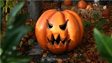 Gruseln in Blexen: Dorfgemeinschaft lädt zum Gespensterrundlauf ein Ein Kürbis zu Halloween. Beim „Gespensterrundlauf“ in Blexen verwandeln Anwohner, Feuerwehr und Vereine ihre Häuser und Straßen in schaurige Stationen – von Spukhaus bis Gruselkabinett.