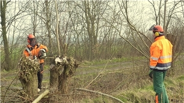 Beim Praxisteil des Landschaftspflegekurses lernen die Teilnehmer auch den Umgang mit der Kettensäge. 