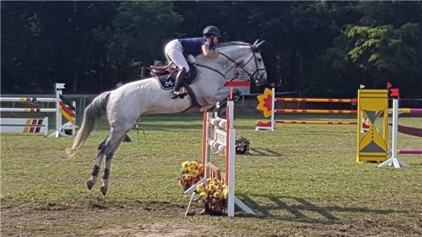 Eine Premiere beim Reitturnier in Sellstedt Beim Reitturnier in Sellstedt gibt es Prüfungen bis zur schweren Klasse.