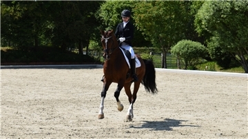 Beim Turnier auf der Reitanlage BP in Loxstedt werden wieder Qualifikationen für das Bundeschampionat ausgeritten.
