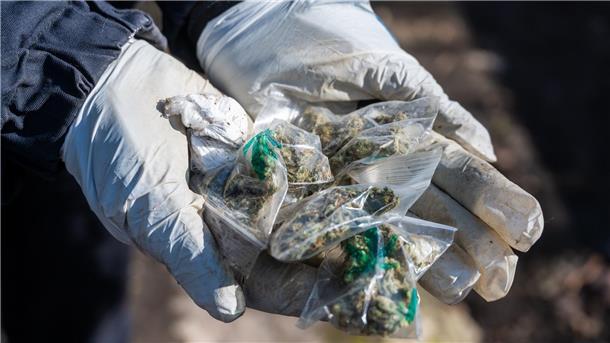 Eine Polizistin hält Tüten mit Marihuana in die Kamera.