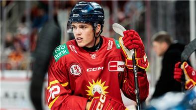 Ein Eishockeyspieler hält einen Schläger in der Hand.