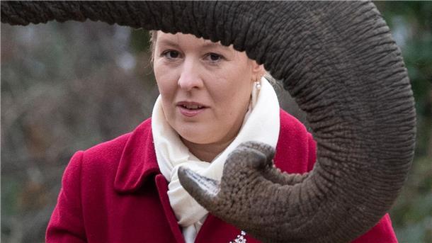 Berliner Zoo nach Vogelgrippe-Fall wieder geöffnet Berlins Regierende Bürgermeisterin Franziska Giffey (SPD) füttert im Zoo einen Elefanten.
