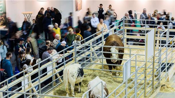 300.000 Gäste bei der Grünen Woche in Berlin Besucher gehen am letzten Tag der Internationalen Grünen Woche durch die Tierhalle.