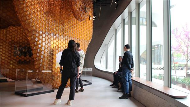 Anbau von New Yorker Naturkundemuseum eröffnet Besucher in einer Bienen-Ausstellung.