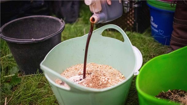 Klappe auf bei den Elmloher Reitertagen: Unterwegs mit Pflegerin Christina Müller Balkenhol