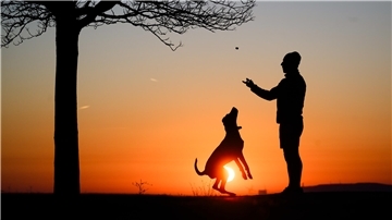Ein Mann und Hund spielen bei Sonnenuntergang. 