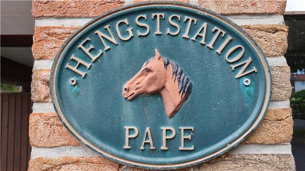 Reitprofi Susan Pape verrät: So gelingt die perfekte Kür Reitprofi Susan Pape verrät: So gelingt die perfekte Kür