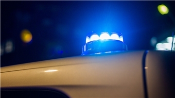 Katalysatoren von zwei Fahrzeugen gestohlen