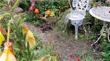 Privatgarten in Rockstedt öffnet Pforten für Neugierige