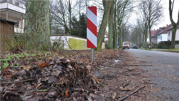 Warum das schmierige Laub in Nordenham erst auf Nachfrage entfernt wird Warum das schmierige Laub in Nordenham erst auf Nachfrage entfernt wird