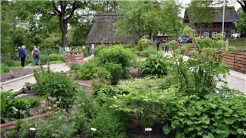 Mit einem Frühlingsfest ist der neu angelegte Heilkräutergarten am Heimathaus in Sittensen eingeweiht worden.