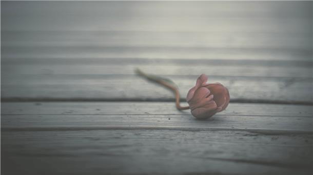 Das Leben mit dem Tod