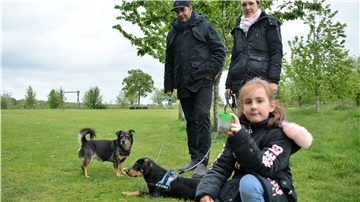 Hundehasser im Verdacht