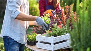 Ein Mann mit Gartenhandschuh im Garten