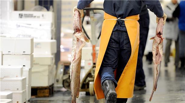 Deutsche essen immer mehr Fisch