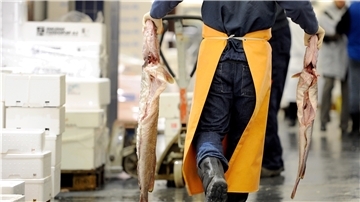 Deutsche essen immer mehr Fisch