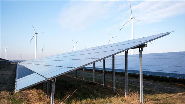 Kleine Geschenke erhalten die Freundschaft oder: Rohrdommeln müssen auswandern Solarpark und Windräder