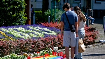 Nach Attentat von Solingen: Klingenlängen dürfen jetzt keine Rolle mehr spielen