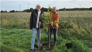 Zwei Männer stehen auf einem Acker an einem frisch gepflanzten Baum.