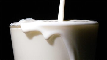 Molkereien nehmen Milch vom Markt