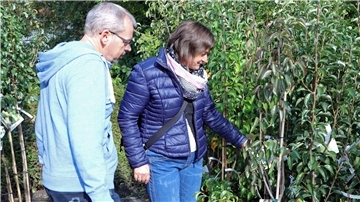 Mann und Frau in einem Feld mit Obstpflanzen.