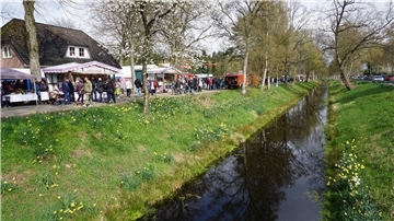 Touristikverein Gnarrenburg: Blütenfest am 13. April – Jetzt anmelden