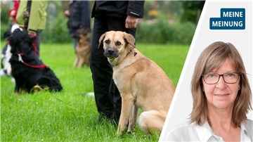 Rechts das Porträt einer Frau mit blonden Haaren und Brille, links ein brauner Hund 