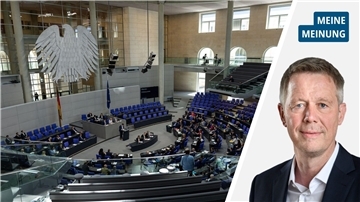 Abgeordnete sollen und müssen gut verdienen